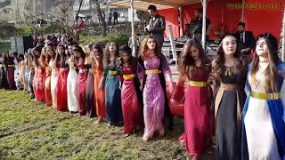 Kurdish Dance  Baile kurdo [upl. by Yssirhc]