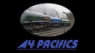 A4 Pacifics  Music Video [upl. by Bandeen]