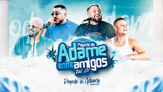 Pagode do Adame  Entre Amigos Vol1 Vídeo Completo [upl. by Dey]