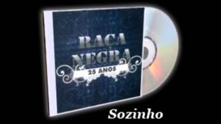 Sozinho  Raça Negra [upl. by Ivonne]