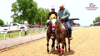 HEAT 8 FUTURITY MILLONARIO 300 YDS [upl. by Andee344]