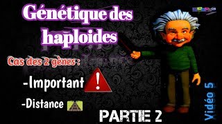 Vidéo 5 Génétique des haploïdes en arabe SVI S4Partie 2 [upl. by Nerral]