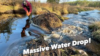 Huge Beaver Dam Removal [upl. by Fang]