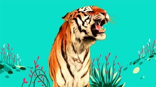 StoryBots  Wild Animal Songs Tiger Lion Zebra Rhino  Learning Songs for Kids  Netflix Jr [upl. by Crystie]