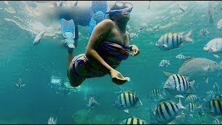 HD Snorkeling heaven Norman Island Caves  British Virgin Islands [upl. by Nnylsoj368]