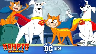 Krypto The Superdog  Krypto And Streaky Save The Day  dckids [upl. by Yblocaj154]