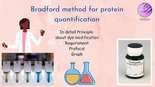 Bradford method for protein quantification  Protocol [upl. by Vanhook]