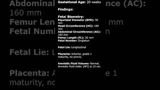 Normal 20 Week Obstetric Ultrasound Sample Report  Fetal USG pregnancyusg ultrasoundreport [upl. by Yelsnya157]