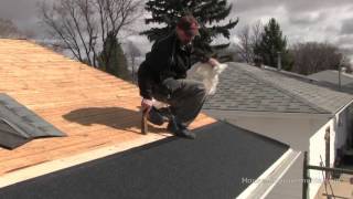 How To Install Shingles 2 Getting Started [upl. by Yramesor594]