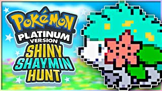 Can I Catch SHINY Shaymin in Pokemon Platinum [upl. by Older340]