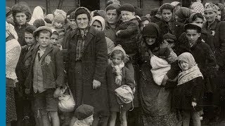 The Auschwitz Album Visual Evidence of the Process Leading to the Mass Murder at AuschwitzBirkenau [upl. by Llertnek]