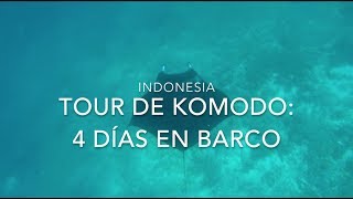 Indonesia  Tour de Komodo 4 días en barco [upl. by Galang374]