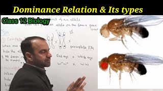 Dominance Relation  Types of Dominance Relation  Class 12 Biology [upl. by Nowd]