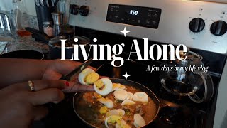 VLOG  Living Alone simple living days in my life cooking baking cleaning 🧑🏾‍🍳 🥘🥚🧼🫧🍗🍞 [upl. by Enia]