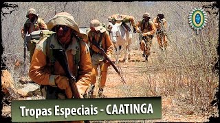 Tropas Especiais do Exército Brasileiro  Caatinga [upl. by Brandais]