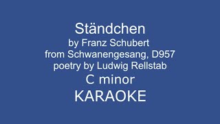 Ständchen Schubert C minor Karaoke [upl. by Wack845]