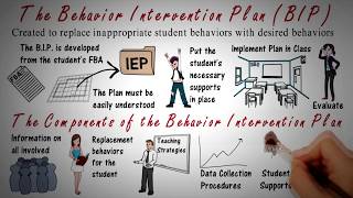 Behavior Intervention Plan BIP Overview [upl. by Manara]