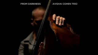 Avishai Cohen  Crazeology [upl. by Letsirc]