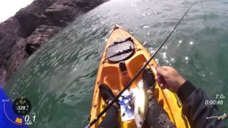 Pollock Fishing Pembrokeshire with the Abu Garcia Diamond Crest [upl. by Atnicaj]