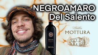 NEGROAMARO DEL SALENTO🍷 che BOMBA⚠️🔥 [upl. by Htebharas]