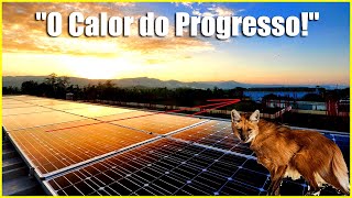 O Lado Sombrio das Usinas Solares em Pirapora Calor Vida Selvagem e Soluções [upl. by Eeniffar193]