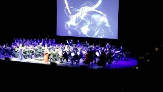 NieR Orchestra Concert  Song Of The Ancients  Live at Tempodrom Berlin  11022024 [upl. by Erine923]