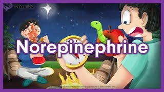 Norepinephrine Mnemonic for NCLEX  Nursing Pharmacology [upl. by Damal728]