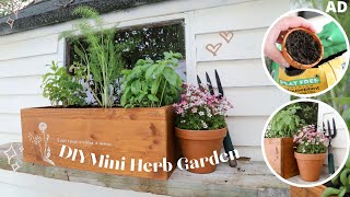 DIY Mini Herb Garden amp Garden Updates [upl. by Cari]