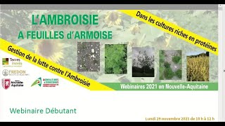 Gestion de la lutte contre l’Ambroisie à feuilles darmoise – Webinaire Débutant [upl. by Olimpia]