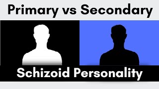 Understanding The Primary vs Secondary Schizoid  Introduction [upl. by Marsiella]