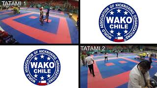 13TH PAN AMERICAN KICKBOXING CHAMPIONSHIPS  tatami 1 amp 2  Día 2 [upl. by Hassin903]