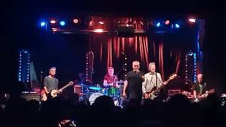 The Undertones Teenage Kicks live at Cyprus Avenue Cork 2023 [upl. by Nonnaehr]