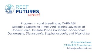 Progress in coral breeding at CARMABI Kristen Marhaver [upl. by Cir]