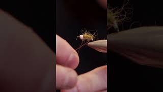 Fly Tying Tutorial  Tying a Caddis Bomb Nymph [upl. by Franni]