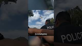 Police Body Cam Review 107 [upl. by Gwendolin]