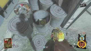 IW Zombies  Secret Song Brachyura Boogie Lobby Music Attack of the Radioactive Thing [upl. by Odlanyer]