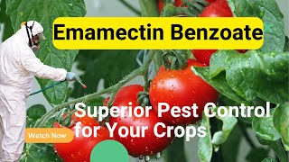 Emamectin Benzoate Insecticide Powerful Pest Control for Agriculture [upl. by Therese]