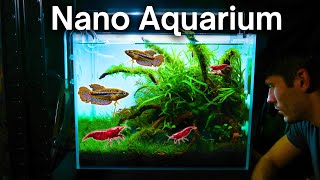 I Made A Nano Aquarium Ecosystem Here’s How [upl. by Assiram]