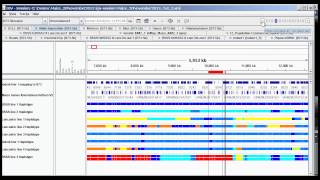 Tutorial Part 2 Haplotyping [upl. by Polivy383]