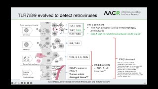 Retroviral mimics costimulate TLR789 to induce dendritic cells MP and antitumor CD8 T cells [upl. by Annawik]