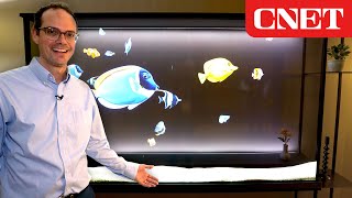 LG Transparent OLED Turns From TV Into Animated Art [upl. by Phipps]