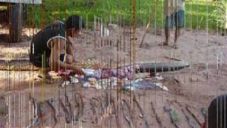 Big snake in Suriname Amazone [upl. by Yelsnia]