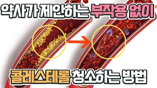 약사가 제안하는 부작용없이 콜레스테롤 청소하는 방법 오메가3와 최강 조합 영양소 대공개 [upl. by Ceil]