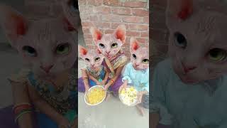 🍚🥛🍚Lalla 🙏😂Lall🍼🍼😸a🥛💞 Lori😂🙏😂💥👍👍👍 cute viral [upl. by Laurens]