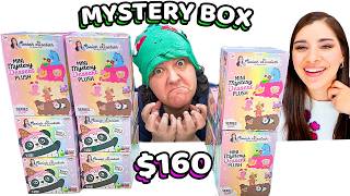 FINALLY FOUND MoriahElizabeth Mini Dessert Plushies Mystery Box Review [upl. by Mall]