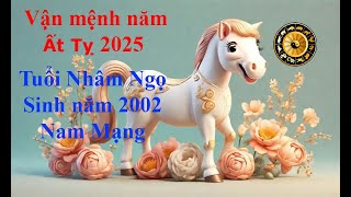 Tử vi Tuổi Nhâm Ngọ 2002 Nam mạng năm Ất Tỵ 2025 Sự nghiệp tài vận tình duyên và gia đạo [upl. by Anicnarf]