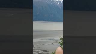 Turnagain Arm Bore Tide alaska nature [upl. by Seligmann]