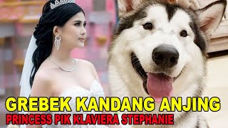 GEREBEK KANDANG ANJING PRINCESS PIK KLAVIERA STEPHANIE [upl. by Delaryd894]