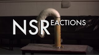 Never Stop Reactions 3 Elephants Toothpaste [upl. by Gernhard926]