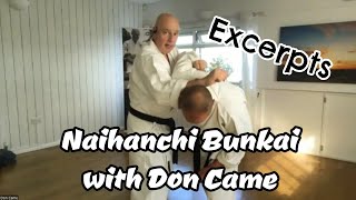 Naihanchi Bunkai with Don Came  Webinar Excerpts [upl. by Golter]